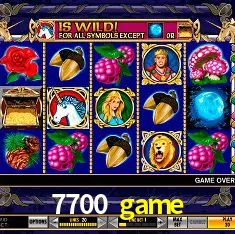 7700 game Rio de Janeiro - Bonus Terms